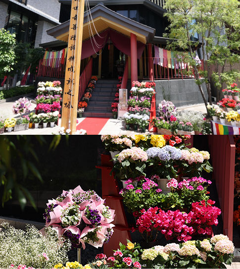 ｢第12回すがも鴨台花まつり｣を開催